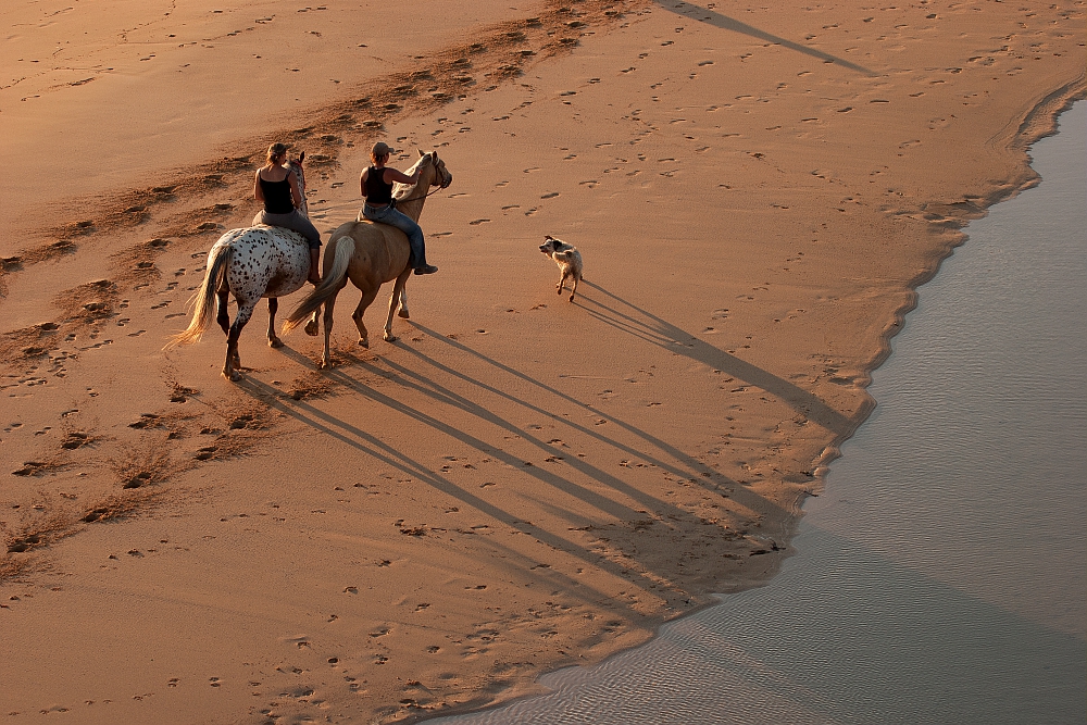 horse riding on the beach
